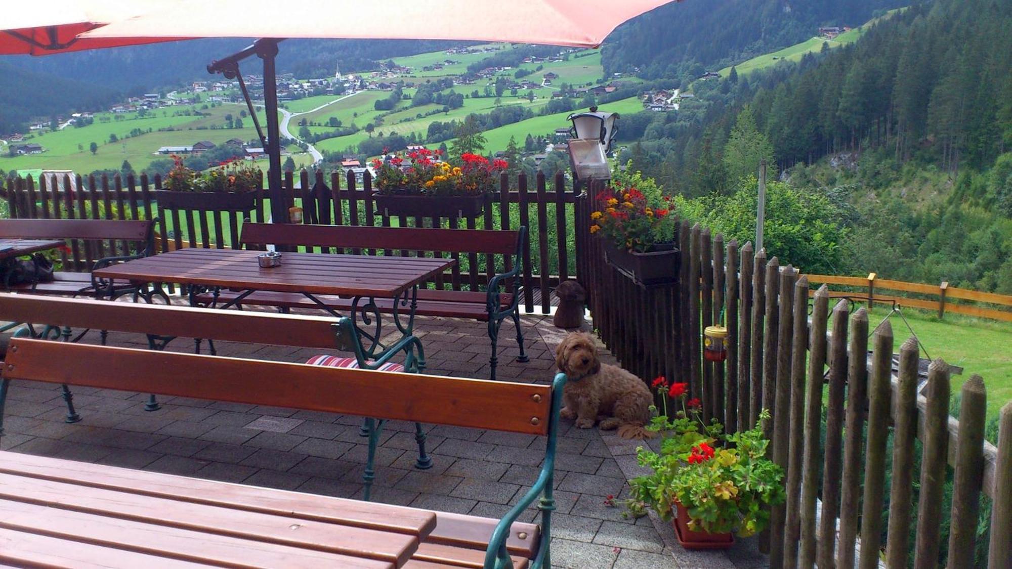 Hotel Gruppen Und Familienhof Falkenstein Krimml Esterno foto