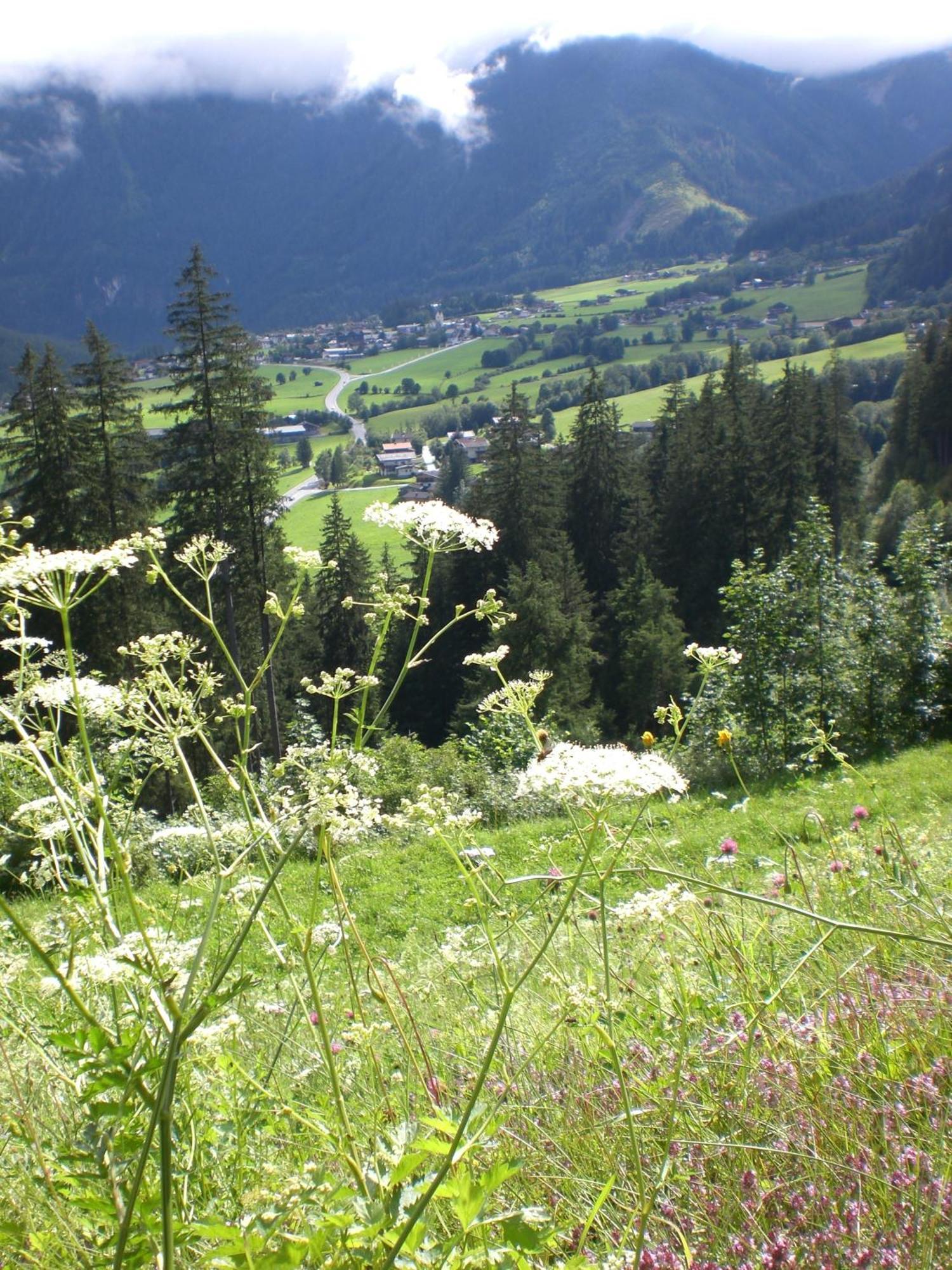 Hotel Gruppen Und Familienhof Falkenstein Krimml Esterno foto